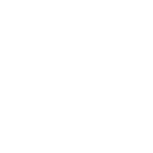 Lion Icon
